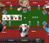 Hra - Poker Texas Hold em